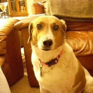 Meet your Posher, Jamie